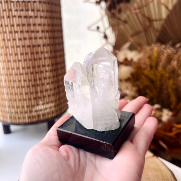 Cristal - Quartzo Transparente na base de Madeira - Imagem 7