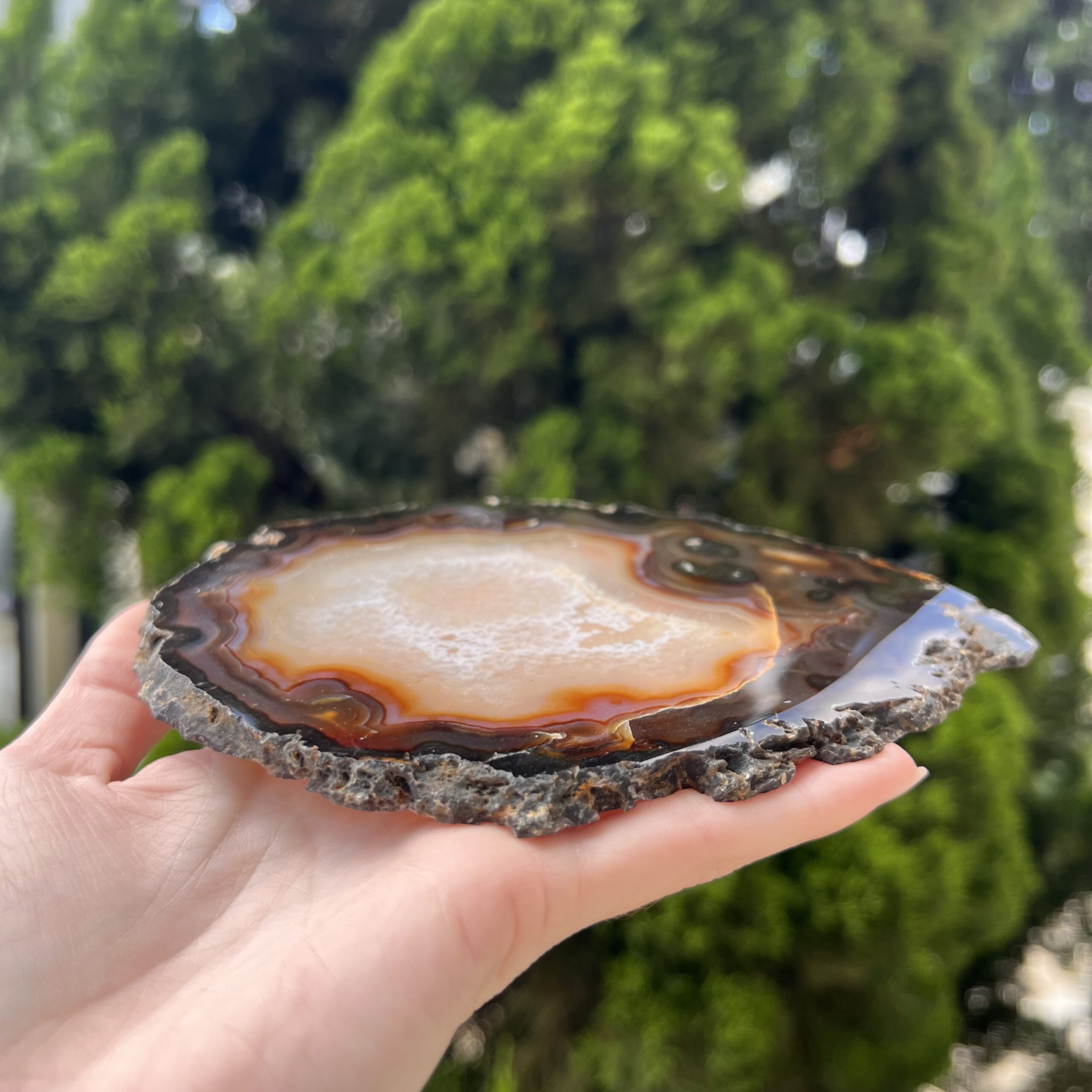 Platter Placa de Ágata - Várias opções - Imagem 9