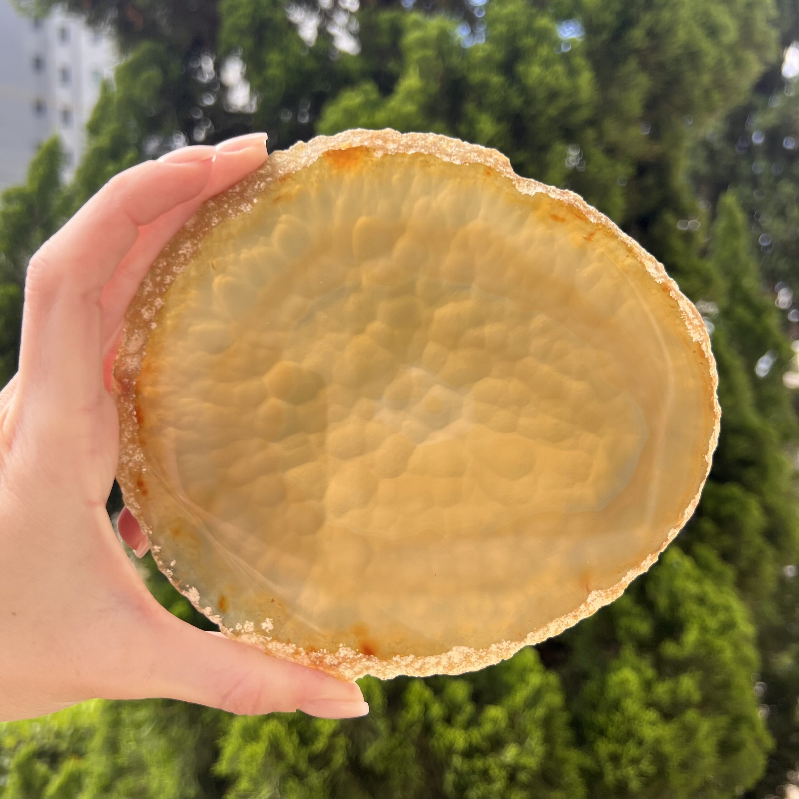 Platter Placa de Ágata - Várias opções - Imagem 13