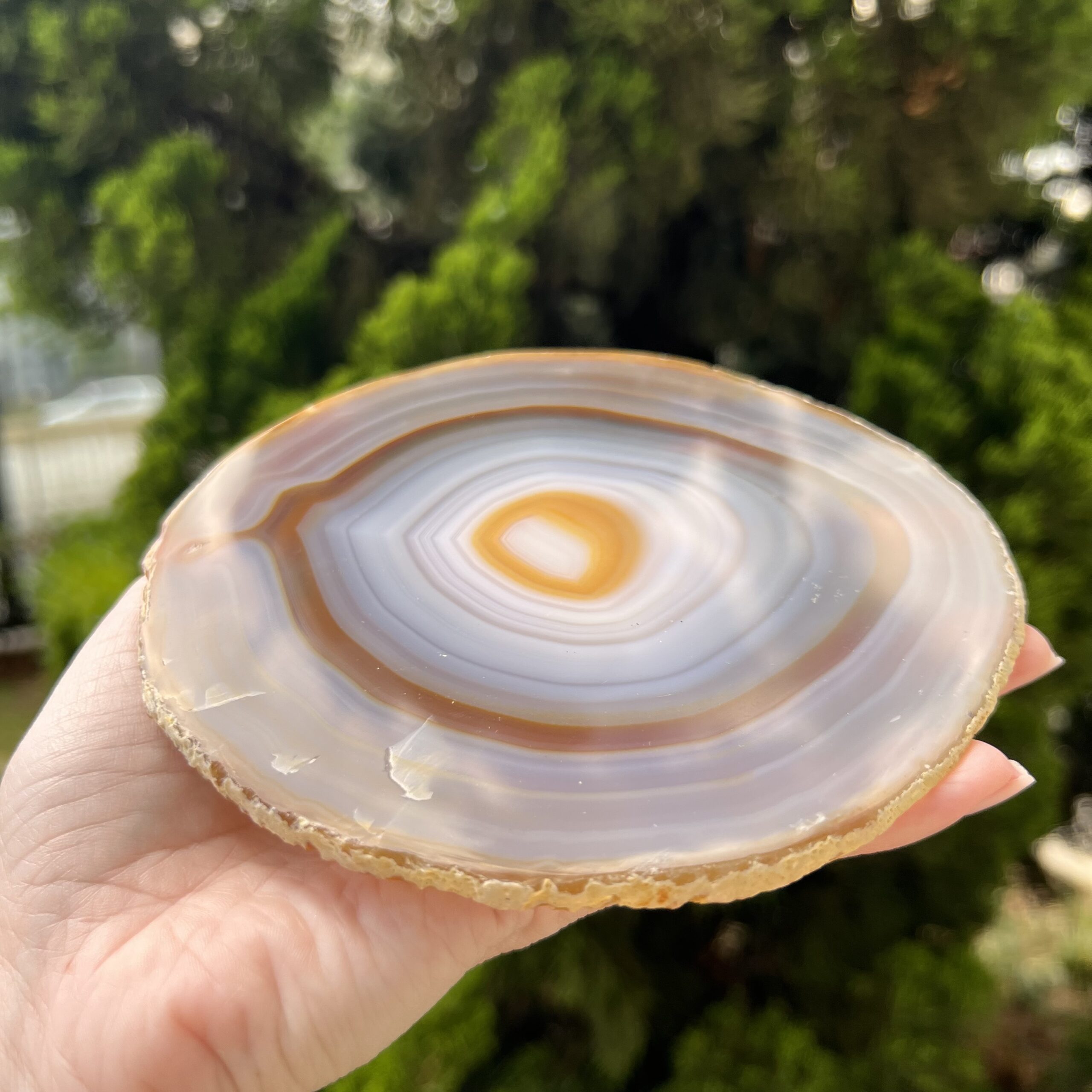 Platter Placa de Ágata - Várias opções - Imagem 23