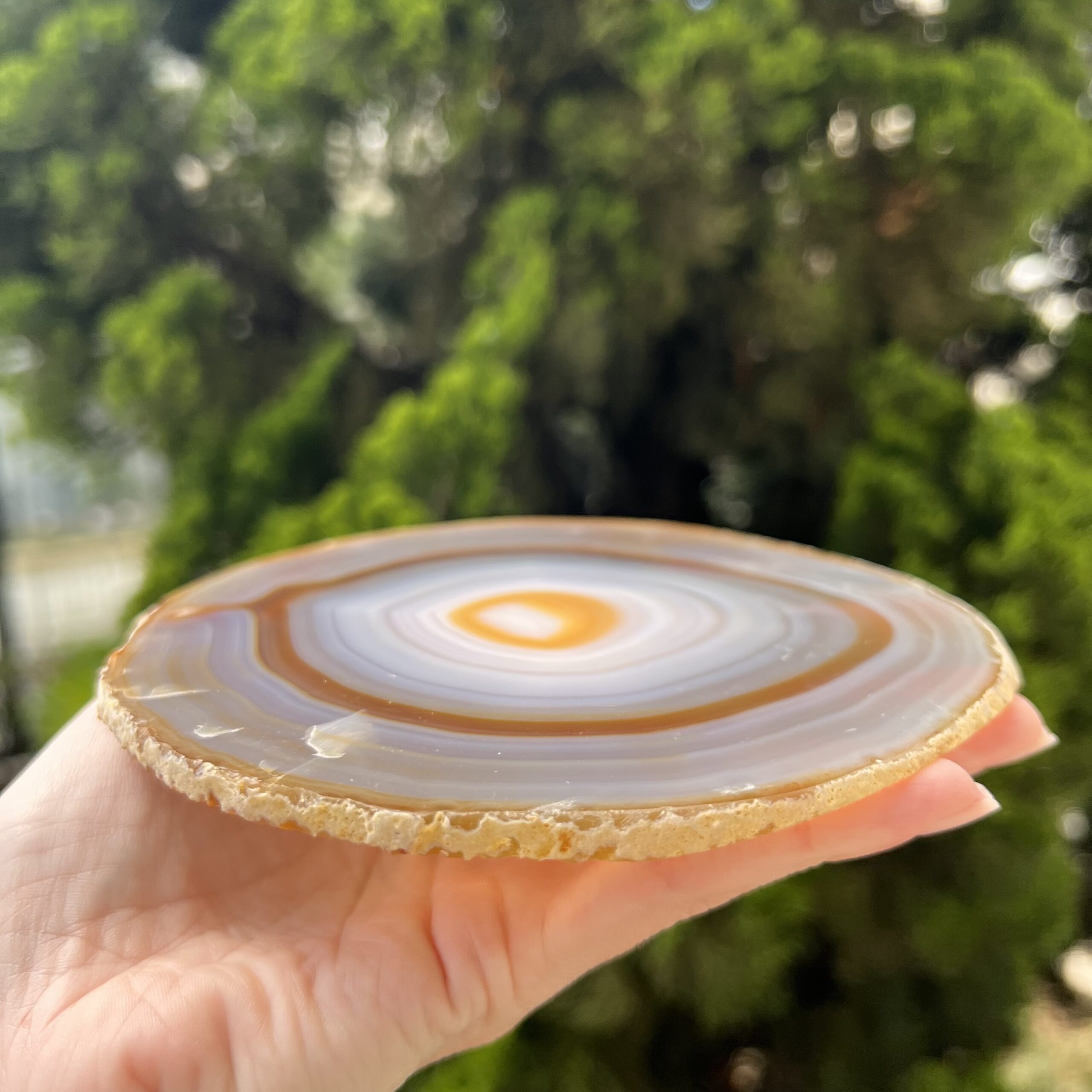 Platter Placa de Ágata - Várias opções - Imagem 24