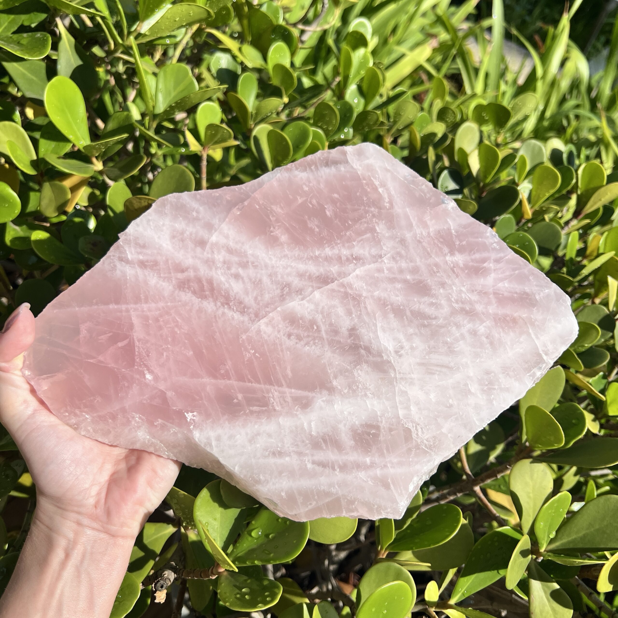 Platter Placa Decorativa Quartzo Rosa Natural Grande - R1 - Imagem 3