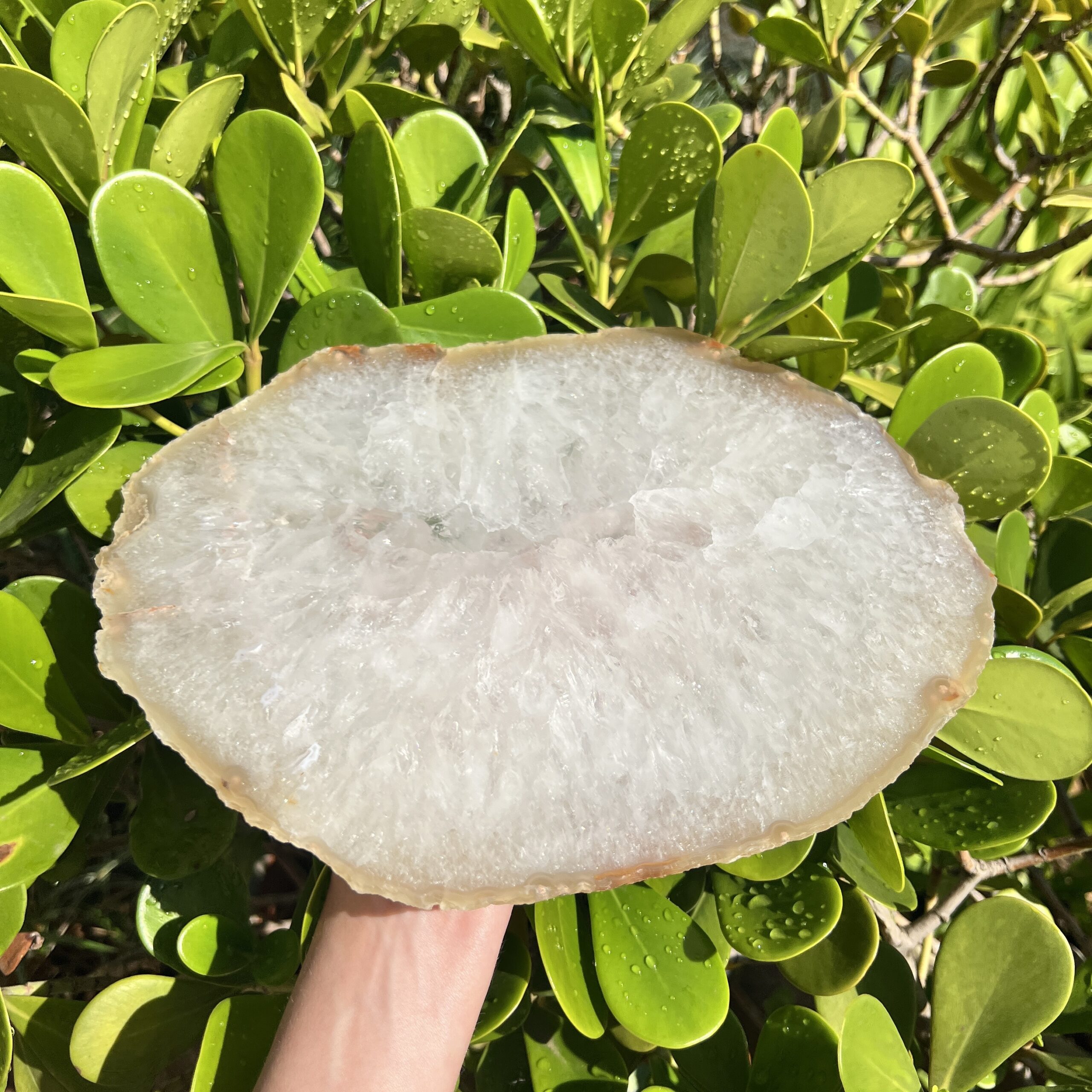 Platter Placa Decorativa Ágata Natural Bandeja Grande – G5