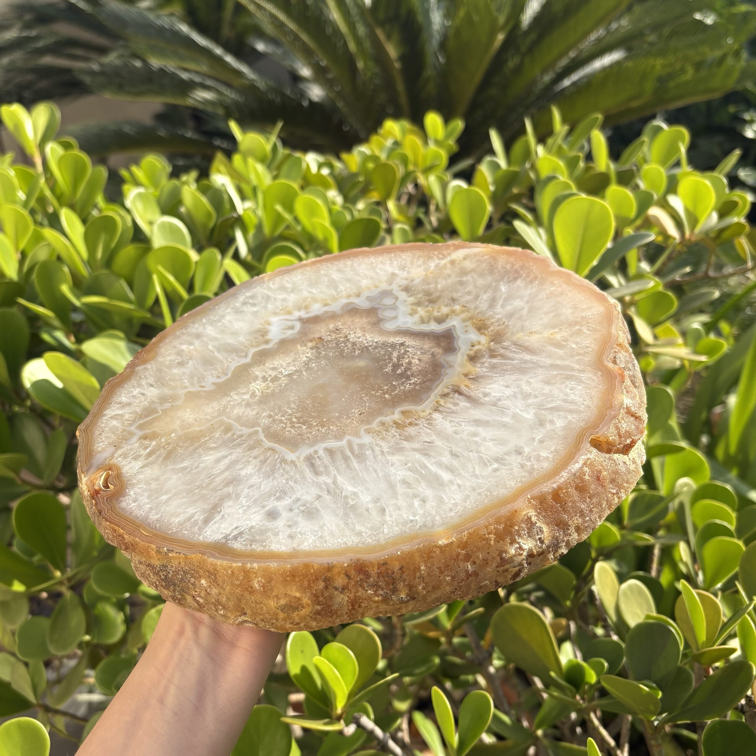Platter Placa Decorativa Ágata Natural Bandeja Grande - G9 - Imagem 2
