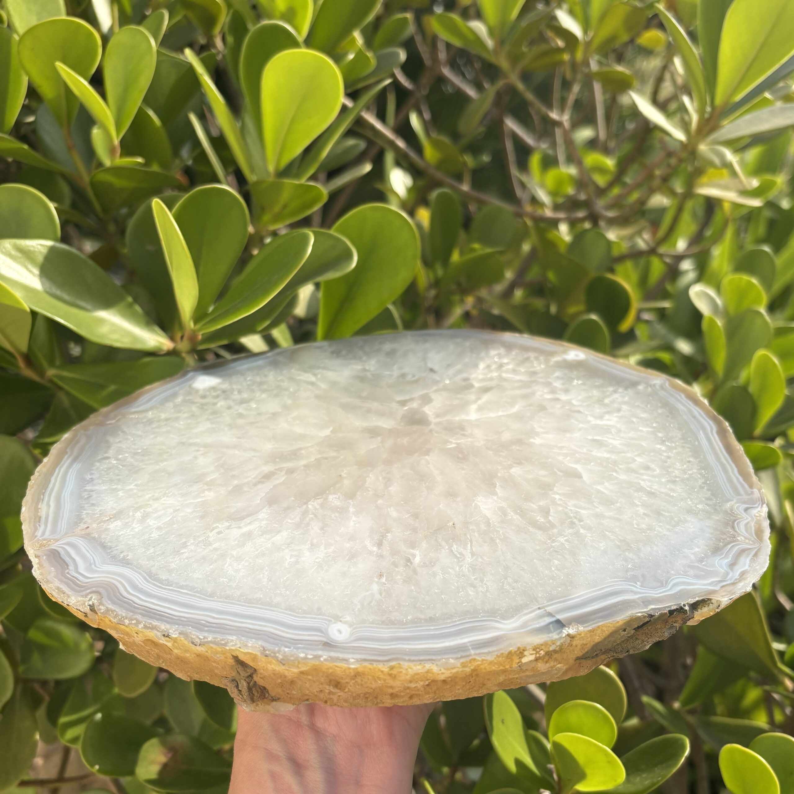 Platter Placa Decorativa Ágata Natural Bandeja Grande - G8